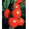 New Girl - Organic (F1) Tomato Seed