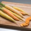 Rainbow - (F1) Carrot Seed