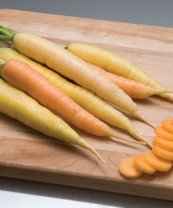Rainbow - (F1) Carrot Seed