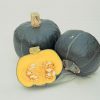 Buttercup (Burgess Strain) - Organic Squash