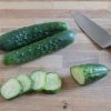 General Lee - (F1) Cucumber Seed