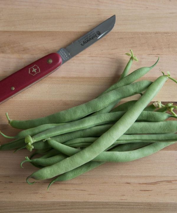 E-Z Pick - Organic Bean Seed