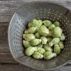 Diablo - (F1) Brussels Sprout Seed