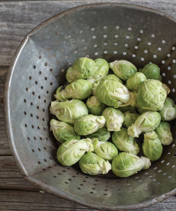 Diablo - (F1) Brussels Sprout Seed