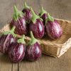Calliope - (F1) Eggplant Seed