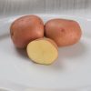 Red Gold - Seed Potatoes