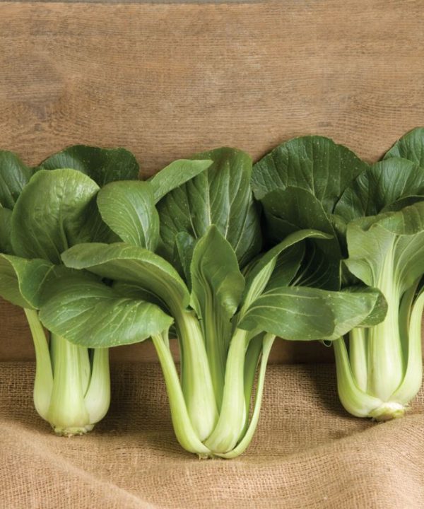 Black Summer - Bok Choy Seeds