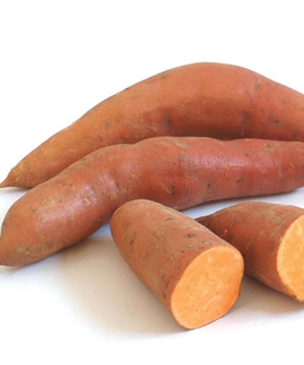 Beauregard - Sweet Potato Slips