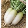 Alpine - (F1) Radish Seed
