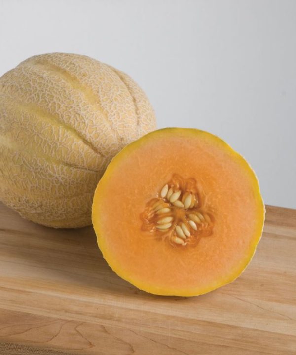 Halona - (F1) Melon Seed