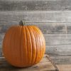 Rival PMR - (F1) Pumpkin Seed