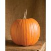 Rival PMR - Treated (F1) Pumpkin Seed