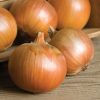 Patterson - (F1) Onion Seed