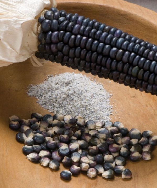 Jerry Petersen Blue - Organic Corn Seed