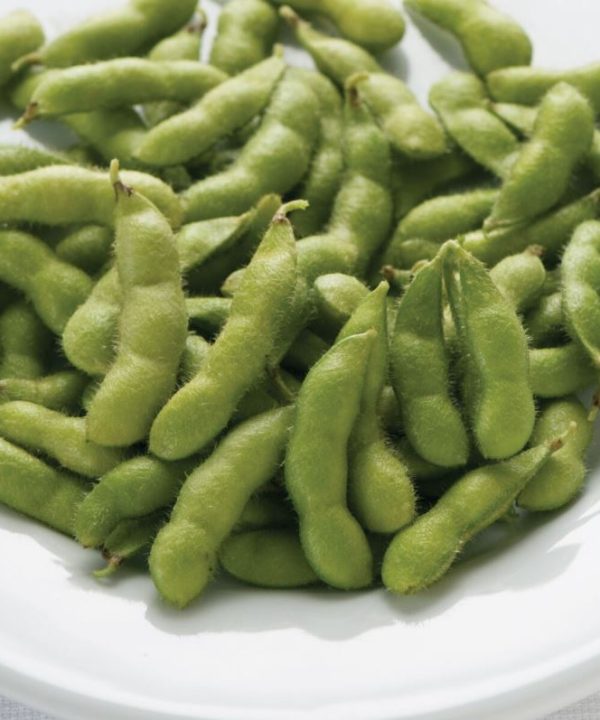 Tohya - Soybean Seed