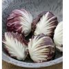 Leonardo - Organic (F1) Radicchio Seed