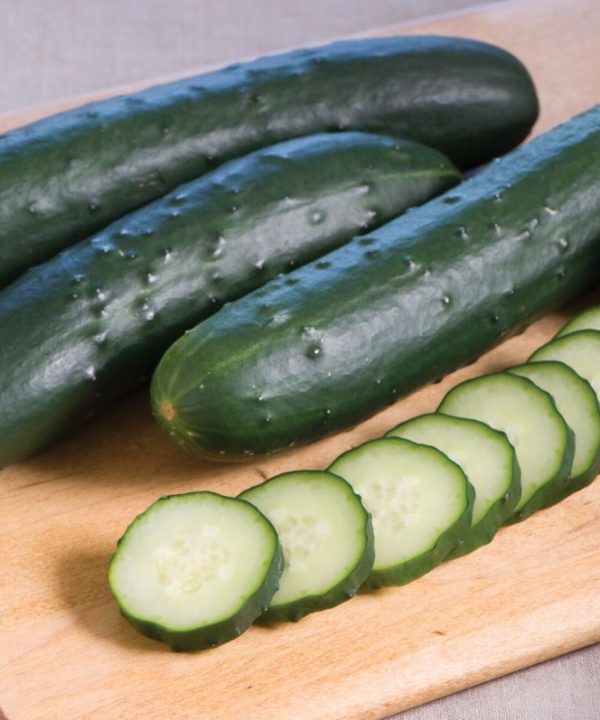 Corinto - Organic (F1) Cucumber Seed