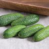 Adam Gherkin - Organic (F1) Cucumber Seed