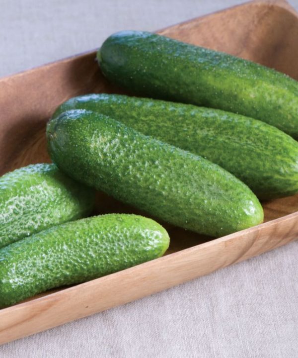 Harmonie - (F1) Cucumber Seed