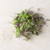 Mild Micro Mix - Microgreen Seed