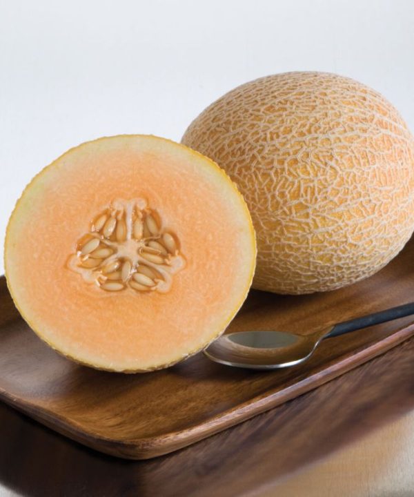 Tasty Bites - (F1) Melon Seed