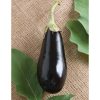 Traviata - Organic (F1) Eggplant Seed