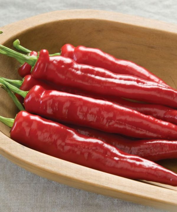 Arapaho - (F1) Cayenne Pepper Seed