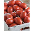 Granadero - Organic (F1) Tomato Seed