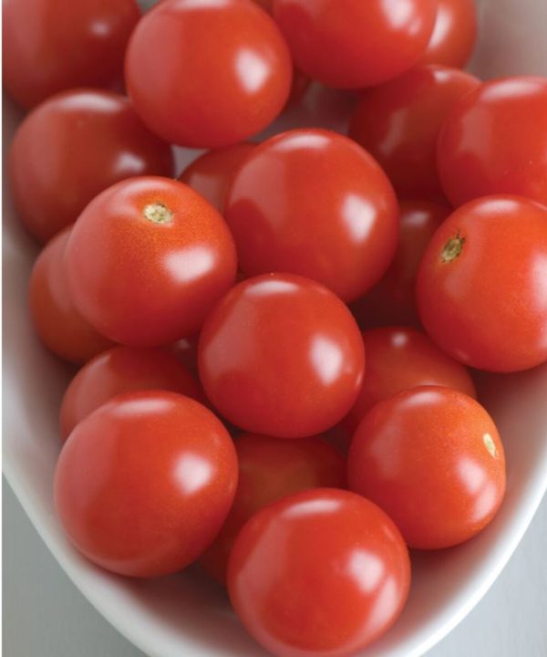 BHN 968 - (F1) Tomato Seed