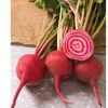 Chioggia Guardsmark - Organic Beet