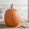 Champion - Treated (F1) Pumpkin Seed