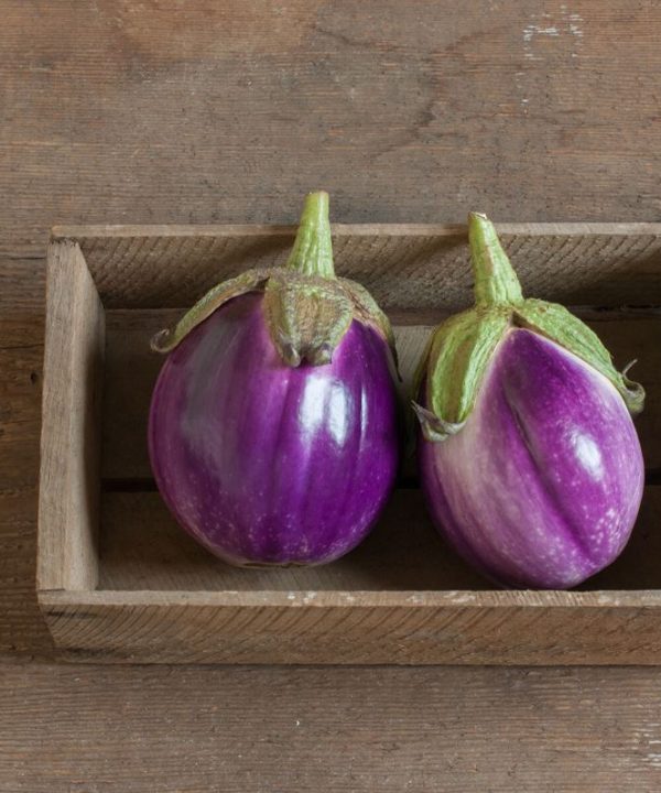 Rosa Bianca - Organic Eggplant Seed