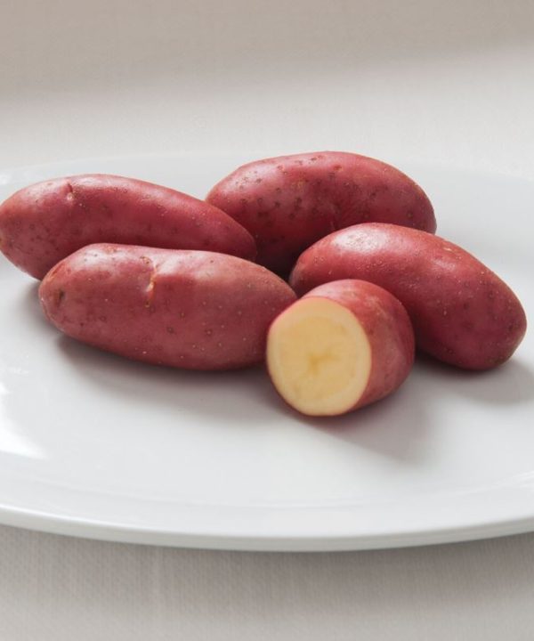 French Fingerling - Organic Seed Potatoes