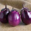 Beatrice - (F1) Eggplant Seed