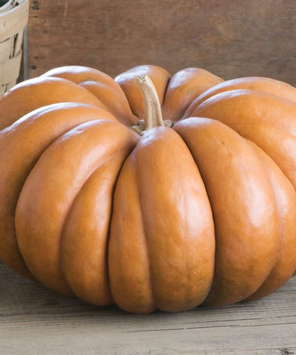 Musquee de Provence Heirloom Pumpkin Seeds