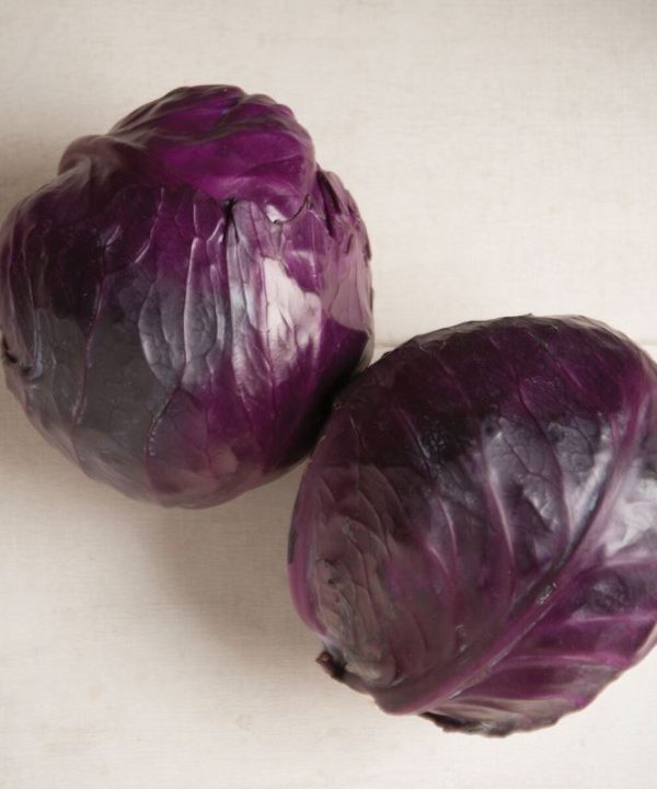 Integro - Organic (F1) Cabbage Seed