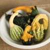 Autumn Wings Blend - Gourd Seed