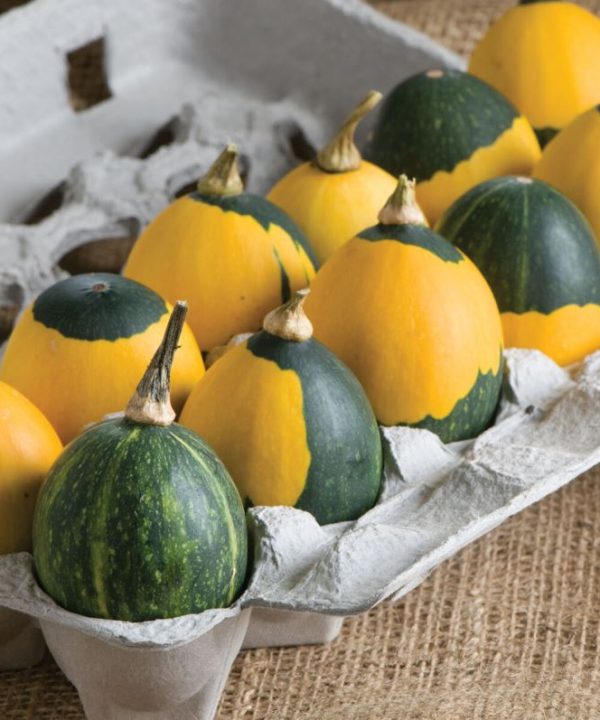 Goblin Eggs Mix - Gourd Seed