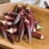Carmine Splendor - (F1) Okra Seed