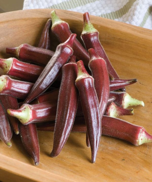 Carmine Splendor - (F1) Okra Seed