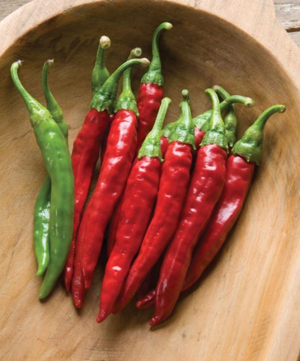 Red Rocket - Organic Cayenne Pepper Seed