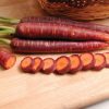 Purple Haze - (F1) Carrot Seed