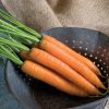 Yaya - Organic (F1) Carrot Seed
