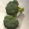 Diplomat - (F1) Broccoli Seed