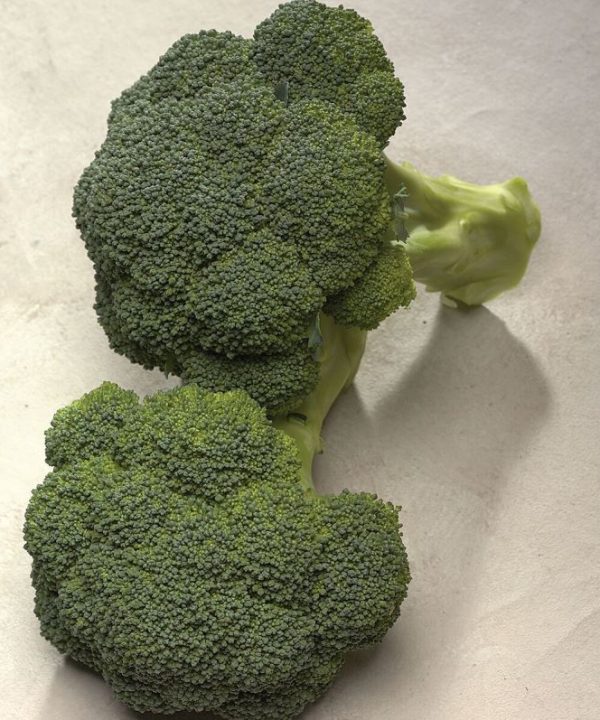 Diplomat - (F1) Broccoli Seed