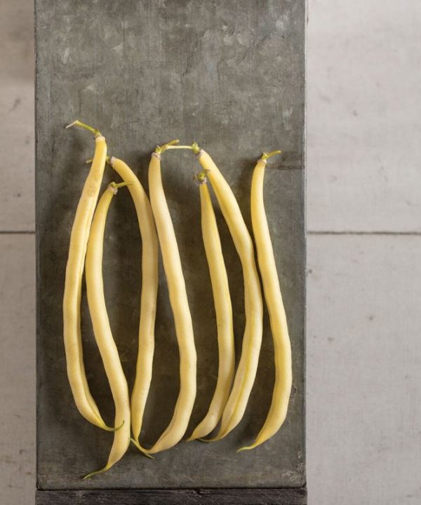 Rocdor - Organic Bean Seed