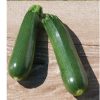 Partenon - Organic Zucchini Seeds