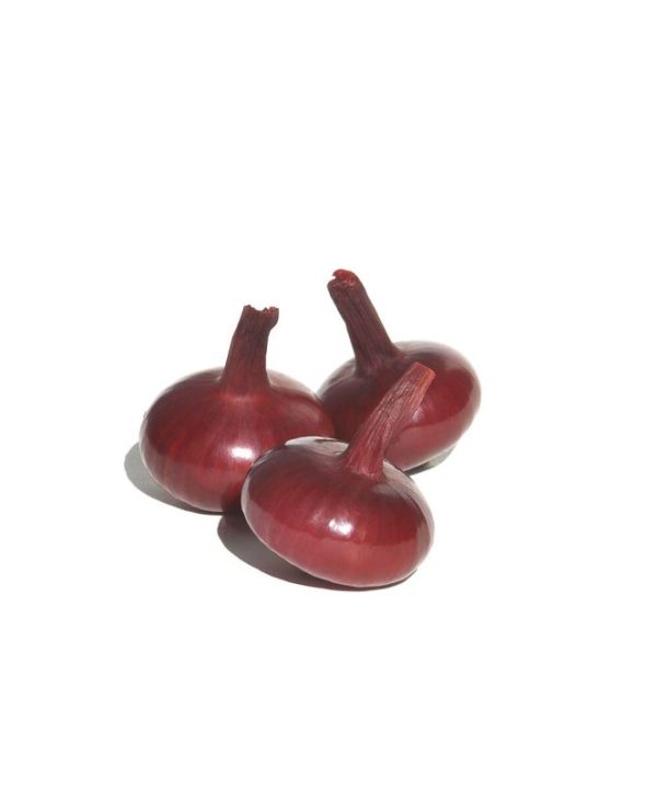 Red Marble - Onion Seed