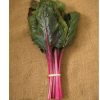 Magenta Sunset - Swiss Chard Seed