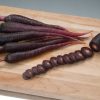 Deep Purple - (F1) Carrot Seed
